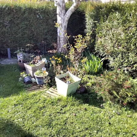 Bed and breakfast La Petite Mouette 3*